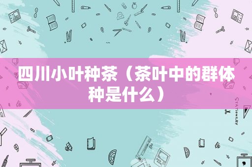 四川小叶种茶（茶叶中的群体种是什么）