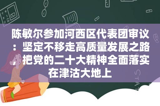 陈敏尔参加河西区代表团审议：坚定不移走高质量发展之路，把党的二十大精神全面落实在津沽大地上