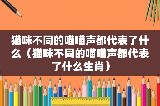 猫咪不同的喵喵声都代表了什么（猫咪不同的喵喵声都代表了什么生肖）