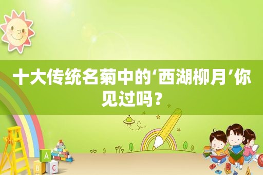 十大传统名菊中的‘西湖柳月’你见过吗？