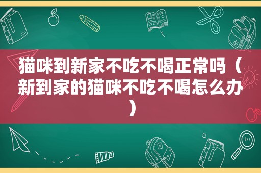 猫咪到新家不吃不喝正常吗（新到家的猫咪不吃不喝怎么办）