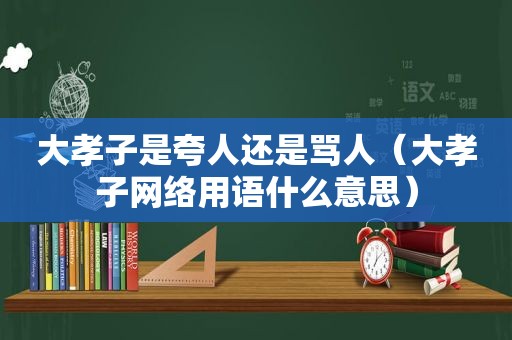 大孝子是夸人还是骂人（大孝子网络用语什么意思）