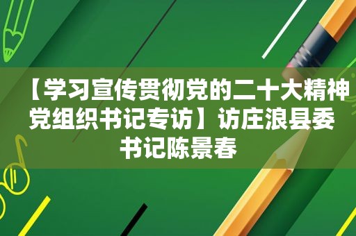 【学习宣传贯彻党的二十大精神 党组织书记专访】访庄浪县委书记陈景春