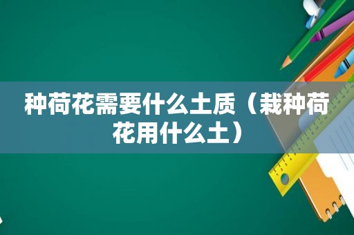 种荷花需要什么土质（栽种荷花用什么土）