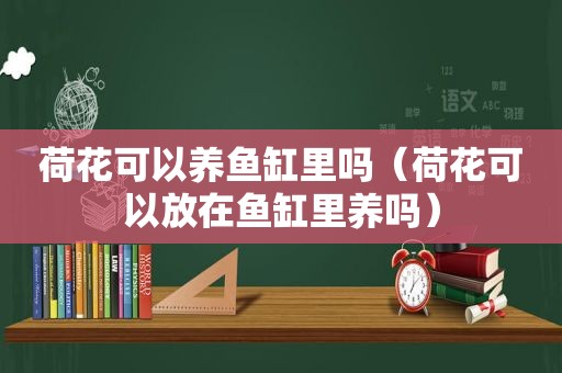 荷花可以养鱼缸里吗（荷花可以放在鱼缸里养吗）