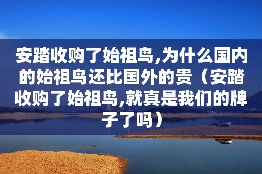 安踏收购了始祖鸟,为什么国内的始祖鸟还比国外的贵（安踏收购了始祖鸟,就真是我们的牌子了吗）