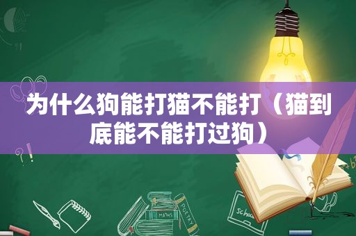 为什么狗能打猫不能打（猫到底能不能打过狗）