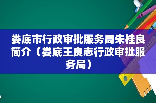 娄底市行政审批服务局朱桂良简介（娄底王良志行政审批服务局）