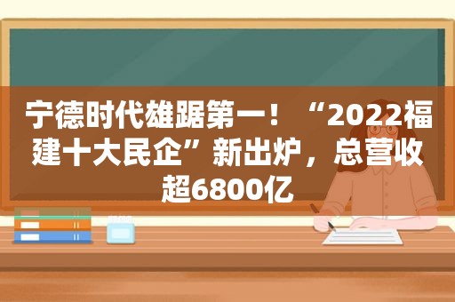 宁德时代雄踞第一！“2022福建十大民企”新出炉，总营收超6800亿