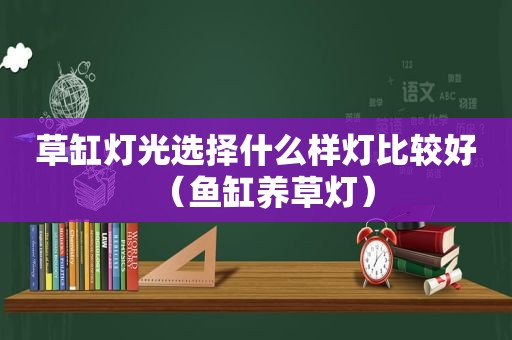 草缸灯光选择什么样灯比较好（鱼缸养草灯）