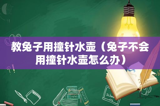 教兔子用撞针水壶（兔子不会用撞针水壶怎么办）