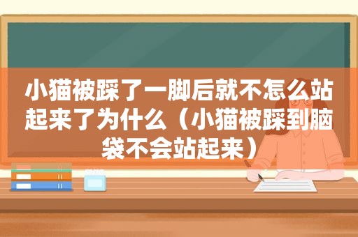 小猫被踩了一脚后就不怎么站起来了为什么（小猫被踩到脑袋不会站起来）