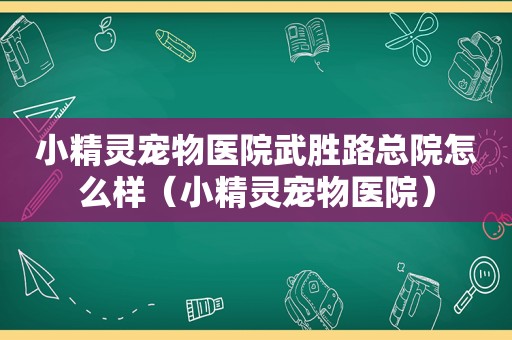 小精灵宠物医院武胜路总院怎么样（小精灵宠物医院）