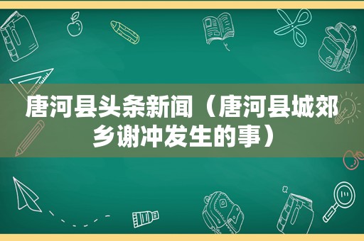 唐河县头条新闻（唐河县城郊乡谢冲发生的事）