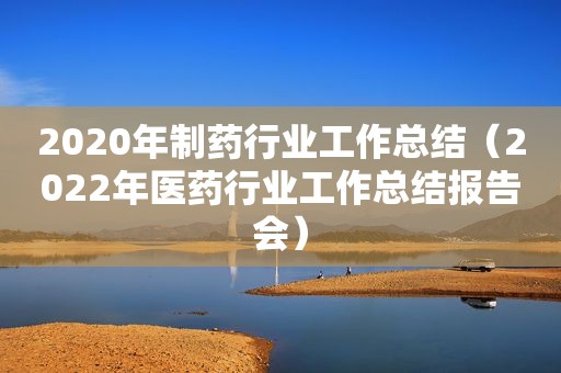 2020年制药行业工作总结（2022年医药行业工作总结报告会）