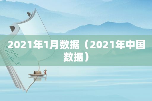 2021年1月数据（2021年中国数据）