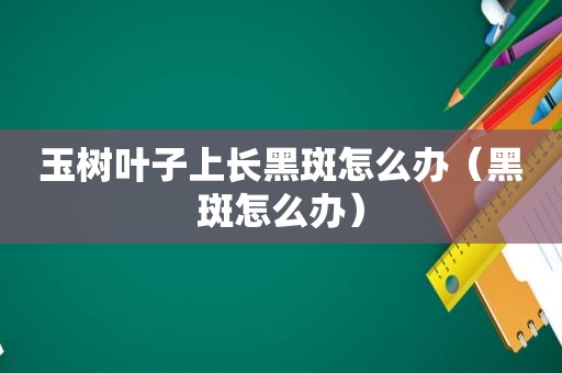 玉树叶子上长黑斑怎么办（黑斑怎么办）