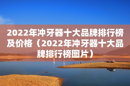 2022年冲牙器十大品牌排行榜及价格（2022年冲牙器十大品牌排行榜图片）