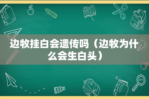 边牧挂白会遗传吗（边牧为什么会生白头）