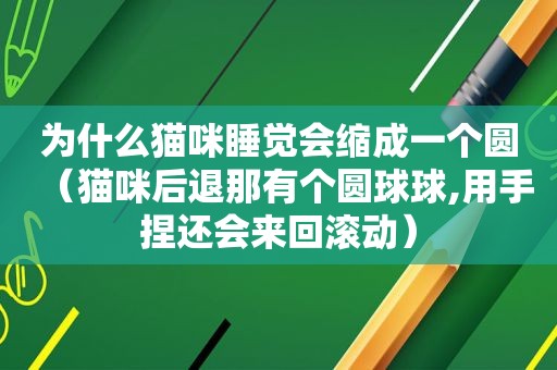 为什么猫咪睡觉会缩成一个圆（猫咪后退那有个圆球球,用手捏还会来回滚动）