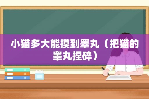 小猫多大能摸到睾丸（把猫的睾丸捏碎）