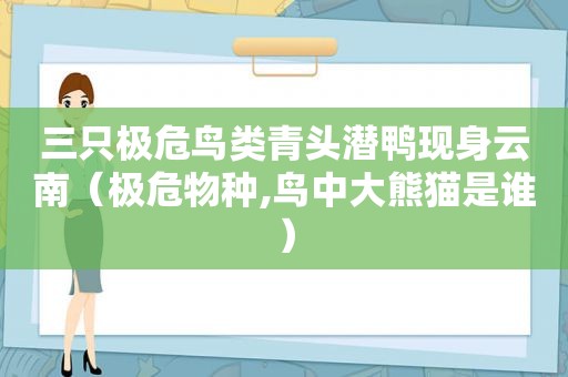 三只极危鸟类青头潜鸭现身云南（极危物种,鸟中大熊猫是谁）