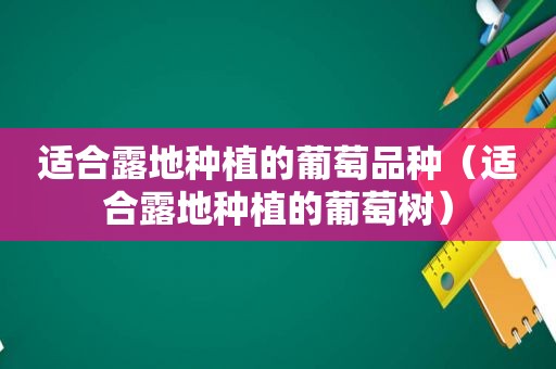 适合露地种植的葡萄品种（适合露地种植的葡萄树）