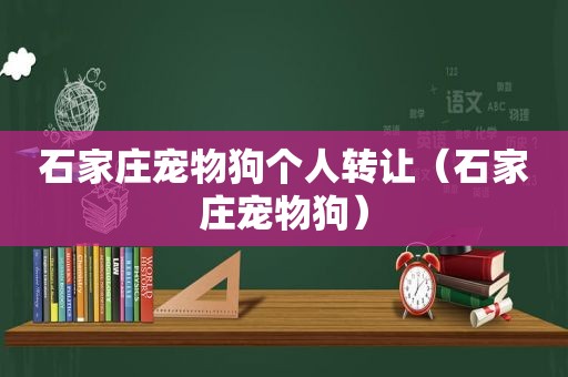 石家庄宠物狗个人转让（石家庄宠物狗）