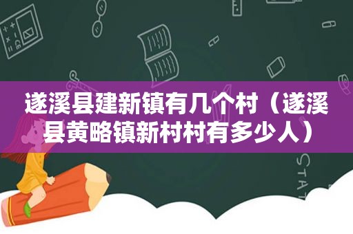 遂溪县建新镇有几个村（遂溪县黄略镇新村村有多少人）