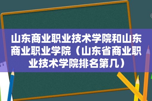 山东商业职业技术学院和山东商业职业学院（山东省商业职业技术学院排名第几）