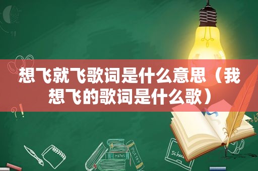 想飞就飞歌词是什么意思（我想飞的歌词是什么歌）