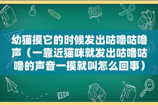 幼猫摸它的时候发出咕噜咕噜声（一靠近猫咪就发出咕噜咕噜的声音一摸就叫怎么回事）