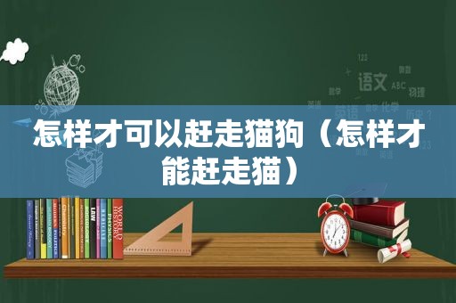 怎样才可以赶走猫狗（怎样才能赶走猫）