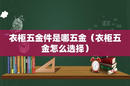 衣柜五金件是哪五金（衣柜五金怎么选择）