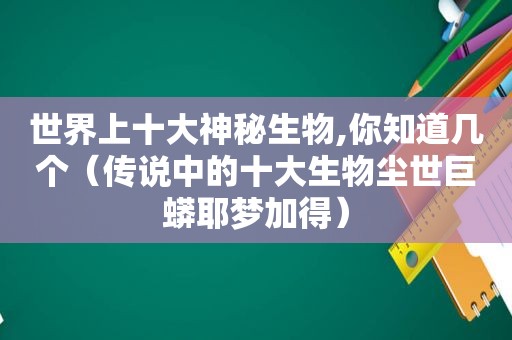 世界上十大神秘生物,你知道几个（传说中的十大生物尘世巨蟒耶梦加得）