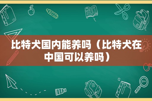 比特犬国内能养吗（比特犬在中国可以养吗）