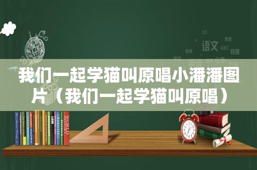 我们一起学猫叫原唱小潘潘图片（我们一起学猫叫原唱）