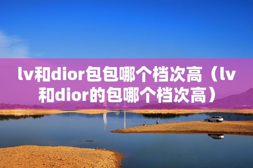 lv和dior包包哪个档次高（lv和dior的包哪个档次高）