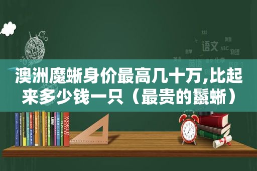 澳洲魔蜥身价最高几十万,比起来多少钱一只（最贵的鬣蜥）