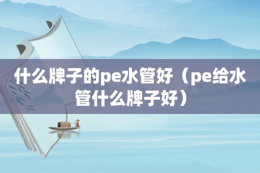 什么牌子的pe水管好（pe给水管什么牌子好）