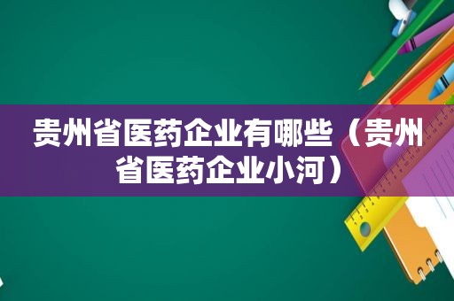 贵州省医药企业有哪些（贵州省医药企业小河）