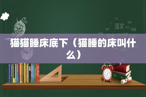 猫猫睡床底下（猫睡的床叫什么）