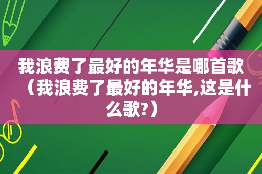 我浪费了最好的年华是哪首歌（我浪费了最好的年华,这是什么歌?）