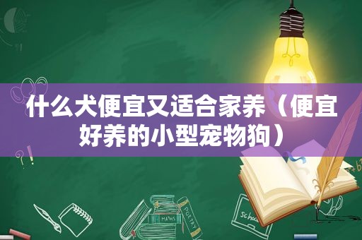 什么犬便宜又适合家养（便宜好养的小型宠物狗）