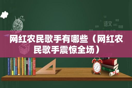 网红农民歌手有哪些（网红农民歌手震惊全场）