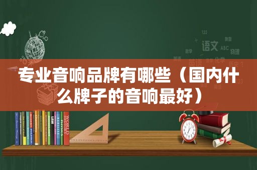 专业音响品牌有哪些（国内什么牌子的音响最好）