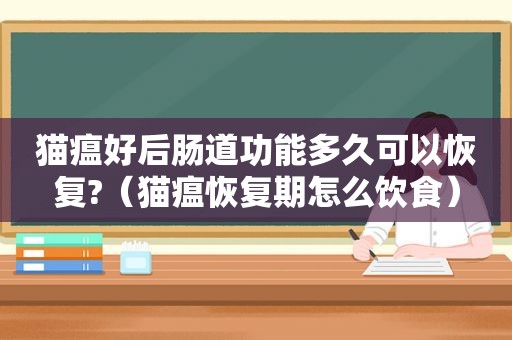 猫瘟好后肠道功能多久可以恢复?（猫瘟恢复期怎么饮食）