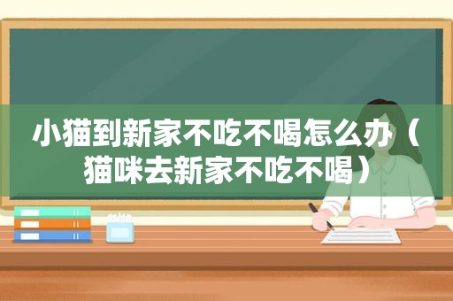 小猫到新家不吃不喝怎么办（猫咪去新家不吃不喝）