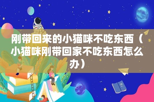 刚带回来的小猫咪不吃东西（小猫咪刚带回家不吃东西怎么办）