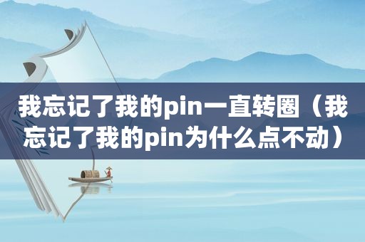 我忘记了我的pin一直转圈（我忘记了我的pin为什么点不动）